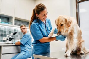 A veterinarian gently holding a young dog and a kitten on an exam table, preparing vaccinations.